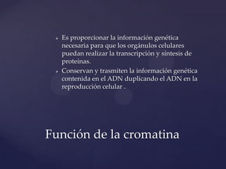 



Es proporcionar la información genética
necesaria para que los orgánulos celulares
puedan realizar la transcripción y síntesis de
proteínas.
Conservan y trasmiten la información genética
contenida en el ADN duplicando el ADN en la
reproducción celular .

Función de la cromatina

 