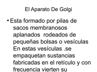 El Aparato De Golgi 
● Esta formado por pilas de 
sacos membranosos 
aplanados rodeados de 
pequeñas bolsas o vesículas 
En estas vesículas .se 
empaquetan sustancias 
fabricadas en el retículo y con 
frecuencia vierten su 
 