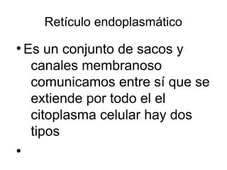 Retículo endoplasmático 
● Es un conjunto de sacos y 
canales membranoso 
comunicamos entre sí que se 
extiende por todo el el 
citoplasma celular hay dos 
tipos 
● 
 