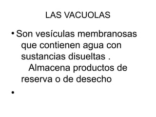 LAS VACUOLAS 
● Son vesículas membranosas 
que contienen agua con 
sustancias disueltas . 
Almacena productos de 
reserva o de desecho 
● 
 