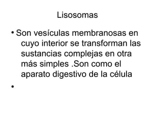 Lisosomas 
● Son vesículas membranosas en 
cuyo interior se transforman las 
sustancias complejas en otra 
más simples .Son como el 
aparato digestivo de la célula 
● 
 