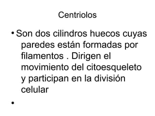 Centriolos 
● Son dos cilindros huecos cuyas 
paredes están formadas por 
filamentos . Dirigen el 
movimiento del citoesqueleto 
y participan en la división 
celular 
● 
 