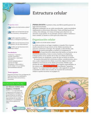 Estructura	
  celular
Preguntas	
  clave
	
  	
  	
  	
  	
  	
  	
  	
  	
  	
  	
  ¿Cuál	
  es	
  el	
  rol	
  del	
  núcleo	
  celular?
	
  	
  	
  	
  	
  	
  	
  	
  	
  	
  ¿Cuáles	
  son	
  las	
  funciones	
  de	
  las	
  
vacuolas,	
  lisosoma	
  y	
  citoesqueleto?
	
  	
  	
  	
  	
  	
  	
  	
  	
  	
  ¿Cuáles	
  organelos	
  ayudan	
  a	
  
sintetizar	
  y	
  a	
  transportar	
  proteínas?
	
  	
  	
  	
  	
  	
  	
  	
  	
  	
  ¿Cuáles	
  son	
  las	
  funciones	
  de	
  los	
  
cloroplastos	
  y	
  de	
  las	
  mitocondrias?
	
  	
  	
  	
  	
  	
  	
  	
  	
  	
  	
  ¿Cuáles	
  son	
  las	
  funciones	
  de	
  la	
  
membrana	
  celular?
PIENSA	
  EN	
  ESTO.	
  A	
  primera	
  vista,	
  una	
  fábrica	
  podría	
  parecer	
  un	
  
lugar	
  desconcertante.	
  
Máquinas	
  zumbando	
  con	
  un	
  ruido	
  ensordecedor;	
  	
  gente	
  moviéndose	
  
rápidamente	
  en	
  direcciones	
  diferentes.	
  Tanta	
  actividad	
  puede	
  ser	
  
confusa.	
  Sin	
  embargo,	
  si	
  te	
  tomas	
  el	
  tiempo	
  para	
  observar	
  con	
  
atención,	
  lo	
  que	
  podría,	
  en	
  un	
  principio,	
  parecer	
  caótico	
  comienza	
  a	
  
tener	
  sentido.	
  Lo	
  mismo	
  es	
  cierto	
  para	
  una	
  célula	
  viva.
Organización	
  celular
¿Cuál	
  es	
  el	
  rol	
  del	
  núcleo	
  celular?
Vocabulario
citoplasma	
  •	
  organelo	
  •
vacuola	
  •	
  lisosoma	
  •
citoesqueleto	
  •	
  centríolo	
  •
ribosoma	
  •
retículo	
  endoplasmático	
  •
aparato	
  de	
  Golgi•
cloroplasto	
  •	
  mitocondria	
  •
pared	
  celular	
  •	
  bicapa	
  lipídica	
  	
  
•permeabilidad	
  selectiva
Toma	
  apuntes
Diagrama	
  de	
  Venn.	
  Crea	
  un	
  diagrama	
  de	
  
Venn	
  que	
  ilustre	
  las	
  similitudes	
  y	
  
diferencias	
  entre	
  procariotas	
  y	
  
eucariotas.
La	
  célula	
  eucariota	
  es	
  un	
  lugar	
  complejo	
  y	
  ocupado.	
  Pero	
  si	
  pones	
  
mucha	
  atención	
  en	
  lo	
  que	
  ocurre	
  en	
  las	
  células	
  eucariotas,	
  los	
  
patrones	
  comienzan	
  a	
  emerger.	
  Por	
  ejemplo,	
  es	
  fácil	
  dividir	
  cada	
  
célula	
  en	
  dos	
  partes	
  principales:	
  el	
  núcleo	
  y	
  el	
  citoplasma.	
  El	
  
citoplasma	
  es	
  la	
  porción	
  de	
  la	
  célula	
  fuera	
  del	
  núcleo	
  y	
  al	
  interior	
  de	
  la	
  
membrana	
  plasmática.	
  Como	
  se	
  verá,	
  el	
  núcleo	
  y	
  el	
  citoplasma	
  
trabajan	
  juntos	
  en	
  los	
  asuntos	
  de	
  la	
  vida.	
  Las	
  células	
  procariotas	
  
también	
  tienen	
  un	
  citoplasma,	
  a	
  pesar	
  de	
  que	
  no	
  tienen	
  un	
  núcleo.
	
  	
  	
  	
  En	
  nuestra	
  discusión	
  de	
  la	
  estructura	
  celular,	
  consideraremos,	
  uno	
  a	
  
uno,	
  a	
  cada	
  componente	
  de	
  células	
  eucariotas,	
  algunos	
  de	
  las	
  cuales	
  
también	
  se	
  encuentran	
  en	
  las	
  células	
  procariotas.	
  Debido	
  a	
  que	
  
muchas	
  de	
  estas	
  estructuras	
  actúan	
  como	
  órganos	
  especializados,	
  se	
  
les	
  conoce	
  como	
  orgánulos	
  u	
  organelos,	
  literalmente	
  "pequeños	
  
órganos."	
  La	
  comprensión	
  de	
  lo	
  que	
  hace	
  cada	
  orgánulo	
  te	
  ayudará	
  
a	
  entender	
  la	
  célula	
  como	
  un	
  todo.	
  Un	
  resumen	
  de	
  la	
  estructura	
  
celular	
  se	
  puede	
  encontrar	
  en	
  la	
  página	
  21.
LA CÉLULA COMO UNA
FÁBRICA VIVIENTE
FIGURA	
  1–6	
  La	
  especialización
y	
  organización	
  del	
  trabajo	
  y	
  de	
  
los	
  trabajadores	
  contribuye	
  a	
  la
productividad	
  de	
  una	
  fábrica.
De	
  la	
  misma	
  manera,	
  las	
  partes	
  
especializadas	
  de	
  una	
  célula	
  
contribuyen	
  a	
  la	
  estabilidad	
  y	
  la	
  
supervivencia	
  global	
  de	
  la	
  
célula.
10 Lección	
  1.2 •
•	
  1.2
ANALOGÍA VISUAL
 