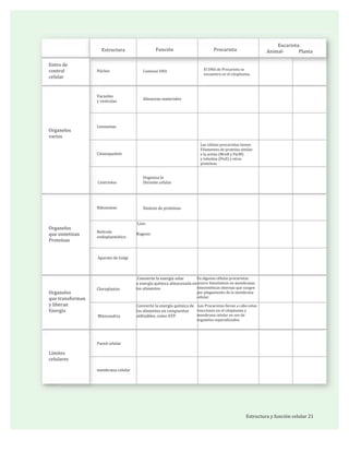 Estructura
Entro	
  de	
  
control	
  
celular
Función Procariota
El	
  DNA	
  de	
  Procariota	
  se	
  
encuentra	
  en	
  el	
  citoplasma.
	
  	
  	
  	
  	
  	
  	
  	
  	
  	
  Eucariota:
Animal-­‐	
  	
  	
  	
  	
  	
  	
  	
  	
  	
  	
  	
  	
  Planta
Núcleo Contiene	
  DNA
Vacuolas
y	
  vesículas
Almacena	
  materiales
Organelos
varios
Lisosomas
Las	
  células	
  procariotas	
  tienen	
  
Filamentos	
  de	
  proteína	
  similar	
  	
  
a	
  la	
  actina	
  (MreB	
  y	
  ParM)	
  	
  
y	
  tubulina	
  (FtsZ)	
  y	
  otras	
  
proteínas.
Citoesqueleto
Centriolos
Organiza	
  la
División	
  celular
Ribosomas Síntesis	
  de	
  proteínas
Organelos
que	
  sintetizan
Proteínas
Retículo	
  
endoplasmático
	
  	
  Liso:
	
  
	
  Rugoso:
	
  	
  Convierte	
  la	
  energía	
  solar	
  
	
  a	
  energía	
  química	
  almacenada	
  en	
  
	
  los	
  alimentos
	
  Convierte	
  la	
  energía	
  química	
  de	
  
	
  los	
  alimentos	
  en	
  compuestos	
  	
  
	
  utilizables,	
  como	
  ATP.
En	
  algunas	
  células	
  procariotas	
  
ocurre	
  fotosíntesis	
  en	
  membranas	
  
fotosintéticas	
  internas	
  que	
  surgen	
  
por	
  plegamiento	
  de	
  la	
  membrana	
  
celular.
	
  Los	
  Procariotas	
  llevan	
  a	
  cabo	
  estas	
  	
  
reacciones	
  en	
  el	
  citoplasma	
  y	
  
membrana	
  celular	
  en	
  vez	
  de	
  
organelos	
  especializados.
Aparato	
  de	
  Golgi
Organelos
que	
  transforman
y	
  liberan
Energía
Cloroplastos	
  
Mitocondria
Pared	
  celular
Límites	
  
celulares
membrana	
  celular
Estructura	
  y	
  función	
  celular	
  21
 