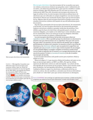 Microscopio	
  electrónico	
  de	
  transmisión
FIGURA	
  1–3	
  Micrografías.	
  Se	
  pueden	
  usar	
  
diferentes	
  tipos	
  de	
  microscopios	
  para	
  
examinar	
  células.	
  Aquí,	
  las	
  células	
  de	
  
levadura	
  se	
  muestran	
  en	
  una	
  micrografía	
  
de	
  luz	
  (ML	
  500x),	
  micrografía	
  electrónica	
  
de	
  transmisión	
  (MET	
  4375x)	
  y	
  una	
  
micrografía	
  electrónica	
  de	
  barrido	
  (MES	
  
3750x).	
  Infiere	
  Si	
  un	
  científico	
  necesitara	
  
estudiar	
  una	
  estructura	
  que	
  se	
  encuentra	
  
en	
  la	
  superficie	
  de	
  la	
  levadura,	
  que	
  tipo	
  de	
  
microscopio	
  debiera	
  usar?
Microscopio	
  electrónico	
  Los	
  microscopios	
  de	
  luz	
  se	
  pueden	
  usar	
  para	
  
ver	
  células	
  y	
  estructuras	
  celulares	
  tan	
  pequeñas	
  como	
  1	
  millonésima	
  de	
  
un	
  metro,	
  ¡sin	
  duda	
  muy	
  pequeña!	
  Pero	
  ¿qué	
  usan	
  los	
  científicos	
  cuando	
  
quieren	
  estudiar	
  algo	
  más	
  pequeño	
  que	
  eso,	
  tal	
  como	
  un	
  virus	
  o	
  una	
  
molécula	
  de	
  ADN?	
  Para	
  ello,	
  necesitan	
  microscopios	
  electrónicos.	
  En	
  
lugar	
  de	
  utilizar	
  la	
  luz,	
  los	
  microscopios	
  electrónicos	
  utilizan	
  haces	
  de	
  
electrones	
  que	
  son	
  enfocados	
  en	
  campos	
  magnéticos.	
  Los	
  microscopios	
  
electrónicos	
  ofrecen	
  una	
  resolución	
  mucho	
  mayor	
  que	
  los	
  microscopios	
  
de	
  luz.	
  Algunos	
  tipos	
  de	
  microscopios	
  electrónicos	
  pueden	
  usarse	
  para	
  
estudiar	
  estructuras	
  celulares	
  del	
  tamaño	
  de	
  una	
  mil	
  millonésima	
  parte	
  
de	
  un	
  metro.
	
  	
  	
  	
  Hay	
  dos	
  tipos	
  principales	
  de	
  microscopios	
  electrónicos:	
  de	
  transmisión	
  
y	
  de	
  barrido.	
  Los	
  microscopios	
  electrónicos	
  de	
  transmisión	
  permiten	
  
explorar	
  estructuras	
  celulares	
  y	
  grandes	
  moléculas	
  de	
  proteínas.	
  Pero	
  
debido	
  a	
  que	
  los	
  haces	
  de	
  electrones	
  sólo	
  pueden	
  pasar	
  a	
  través	
  de	
  
muestras	
  delgadas,	
  a	
  los	
  tejidos	
  se	
  les	
  debe	
  hacer	
  cortes	
  ultrafinos	
  antes	
  
de	
  ser	
  examinados.	
  Esta	
  es	
  la	
  razón	
  por	
  la	
  que	
  las	
  imágenes	
  obtenidas	
  
con	
  este	
  microscopio	
  son	
  planas	
  y	
  bidimensionales.
	
  	
  	
  	
  Los	
  microscopios	
  electrónicos	
  de	
  barrido	
  sirven	
  para	
  observar	
  
superficies	
  tisulares.	
  Ello	
  es	
  posible	
  porque	
  los	
  electrones	
  no	
  atraviesan	
  la	
  
muestra	
  sino	
  que	
  interaccionan	
  con	
  su	
  superficie.	
  Para	
  que	
  esto	
  ocurra	
  
hay	
  que	
  cubrir	
  a	
  la	
  muestra	
  con	
  una	
  máscara	
  de	
  metales	
  que	
  se	
  adapta	
  
perfectamente	
  al	
  relieve	
  de	
  la	
  muestra.	
  La	
  muestra	
  se	
  barre	
  con	
  el	
  haz	
  de	
  
electrones	
  y	
  los	
  electrones	
  reflejados	
  por	
  ese	
  punto	
  de	
  la	
  superficie	
  son	
  
captados	
  por	
  una	
  pantalla	
  receptora	
  que	
  creará	
  un	
  punto	
  de	
  una	
  imagen	
  
en	
  una	
  pantalla	
  digital.	
  La	
  imagen	
  completa	
  se	
  formará	
  cuando	
  el	
  haz	
  
recorra	
  toda	
  la	
  superficie	
  de	
  la	
  muestra	
  y	
  se	
  consiga	
  información	
  de	
  cada	
  
uno	
  de	
  los	
  puntos.	
  Es	
  decir,	
  se	
  escanea	
  la	
  muestra	
  y	
  de	
  ahí	
  el	
  nombre	
  
microscopio	
  de	
  barrido.	
  
	
  	
  La	
  microscopía	
  electrónica	
  solo	
  puede	
  usarse	
  para	
  examinar	
  células	
  y	
  
tejidos	
  no	
  vivos.
	
  	
  	
  	
  Observa	
  la	
  figura	
  1–3,	
  que	
  muestra	
  células	
  de	
  levadura,	
  tal	
  como	
  se	
  ven	
  
bajo	
  un	
  microscopio	
  óptico,	
  un	
  MET	
  y	
  un	
  MES.	
  ¿Por	
  qué	
  las	
  células	
  
aparecen	
  de	
  diferentes	
  colores	
  en	
  cada	
  micrografía.	
  	
  Los	
  colores	
  de	
  las	
  
micrografías	
  de	
  luz	
  provienen	
  de	
  las	
  propias	
  células	
  o	
  de	
  la	
  tinción	
  usada	
  
para	
  resaltarlos.	
  Las	
  micrografías	
  electrónicas,	
  sin	
  embargo,	
  son	
  en	
  
realidad	
  en	
  blanco	
  y	
  negro.	
  Los	
  electrones,	
  a	
  diferencia	
  de	
  la	
  luz,	
  no	
  
vienen	
  en	
  colores.	
  Así,	
  los	
  científicos	
  a	
  menudo	
  usan	
  técnicas	
  informáticas	
  
para	
  añadir	
  un	
  "color	
  falso"	
  para	
  que	
  ciertas	
  estructuras	
  se	
  destaquen.
En	
  tu	
  CUADERNO:	
  Se	
  te	
  entrega	
  un	
  espécimen	
  para	
  examinar.	
  ¿Cuáles	
  son	
  las	
  dos	
  
preguntas	
  que	
  debieras	
  hacerte	
  para	
  determinar	
  el	
  mejor	
  microscopio	
  a	
  usar?
ML MET MES
6	
  Unidad	
  1	
  •	
  Lección	
  1
 