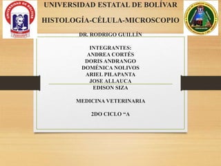 UNIVERSIDAD ESTATAL DE BOLÍVAR
HISTOLOGÍA-CÉLULA-MICROSCOPIO
DR. RODRIGO GUILLÍN
INTEGRANTES:
ANDREA CORTÉS
DORIS ANDRANGO
DOMÉNICA NOLIVOS
ARIEL PILAPANTA
JOSE ALLAUCA
EDISON SIZA
MEDICINA VETERINARIA
2DO CICLO “A
 