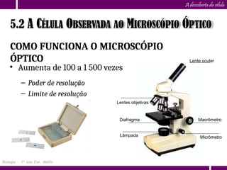 A descoberta da célula
COMO FUNCIONA O MICROSCÓPIO
ÓPTICO Lente ocular
• Aumenta de 100 a 1 500 vezes
– Poder de resolução
– Limite de resolução
Lentes objetivas
Diafragma
Lâmpada
Macrômetro
Micrômetro
5.2 A CÉLULA OBSERVADA AO MICROSCÓPIO ÓPTICO
Biologia – 1º ano Ens. Médio
 