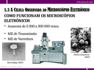A descoberta da célula
COMO FUNCIONAM OS MICROSCÓPIOS
ELETRÔNICOS
• Aumenta de 5 000 a 300 000 vezes.
• ME de Transmissão
• ME de Varredura
Bacteriófago (MET)
Células sanguíneas
(MEV)
5.3 A CÉLULA OBSERVADA AO MICROSCÓPIO ELETRÔNICO
Biologia – 1º ano Ens. Médio
 
