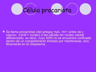 Célula procariota


 Se llama procariotas (del griegoç πρό, pro = antes de y
  κάρυον, karion = núcleo) a las células sin núcleo celular
  diferenciado, es decir, cuyo ADN no se encuentra confinado
  dentro de un compartimento limitado por membranas, sino
  libremente en el citoplasma.
 