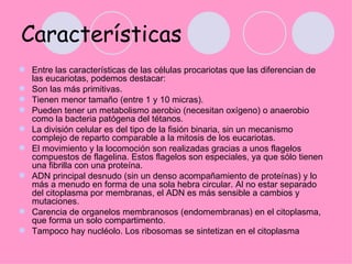 Características
 Entre las características de las células procariotas que las diferencian de
  las eucariotas, podemos destacar:
 Son las más primitivas.
 Tienen menor tamaño (entre 1 y 10 micras).
 Pueden tener un metabolismo aerobio (necesitan oxígeno) o anaerobio
  como la bacteria patógena del tétanos.
 La división celular es del tipo de la fisión binaria, sin un mecanismo
  complejo de reparto comparable a la mitosis de los eucariotas.
 El movimiento y la locomoción son realizadas gracias a unos flagelos
  compuestos de flagelina. Estos flagelos son especiales, ya que sólo tienen
  una fibrilla con una proteína.
 ADN principal desnudo (sin un denso acompañamiento de proteínas) y lo
  más a menudo en forma de una sola hebra circular. Al no estar separado
  del citoplasma por membranas, el ADN es más sensible a cambios y
  mutaciones.
 Carencia de organelos membranosos (endomembranas) en el citoplasma,
  que forma un solo compartimento.
 Tampoco hay nucléolo. Los ribosomas se sintetizan en el citoplasma
 