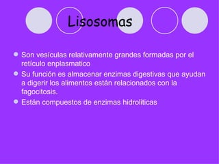 Lisosomas

 Son vesículas relativamente grandes formadas por el
  retículo enplasmatico
 Su función es almacenar enzimas digestivas que ayudan
  a digerir los alimentos están relacionados con la
  fagocitosis.
 Están compuestos de enzimas hidroliticas
 