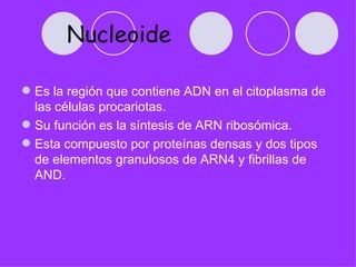 Nucleoide

 Es la región que contiene ADN en el citoplasma de
  las células procariotas.
 Su función es la síntesis de ARN ribosómica.
 Esta compuesto por proteínas densas y dos tipos
  de elementos granulosos de ARN4 y fibrillas de
  AND.
 