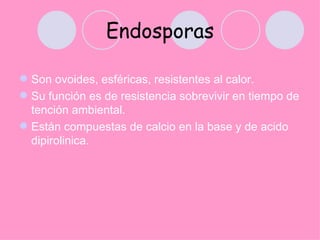 Endosporas

 Son ovoides, esféricas, resistentes al calor.
 Su función es de resistencia sobrevivir en tiempo de
  tención ambiental.
 Están compuestas de calcio en la base y de acido
  dipirolinica.
 