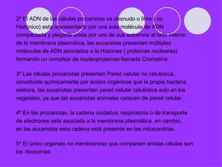 2º El ADN de las células procariotas es desnudo o libre,( no
Histónico) esta representado por una sola molécula de ADN
compactada y plegada unida por uno de sus extremos al lado interno
de la membrana plasmática, las eucariotas presentan múltiples
moléculas de ADN asociados a la Histonas ( proteínas nucleares)
formando un complejo de nucleoproteínas llamada Cromatina.

3º Las células procariotas presentan Pared celular no celulósica,
constituida químicamente por ácidos orgánicos que la propia bacteria
elabora, las eucariotas presentan pared celular celulósica solo en los
vegetales, ya que las eucariotas animales carecen de pared celular.

4º En las procariotas, la cadena oxidativa, respiratoria o de transporte
de electrones esta asociada a la membrana plasmática, en cambio,
en las eucariotas esta cadena está presente en las mitocondrias.

5º El único organelo no membranoso que comparten ambas células son
los ribosomas.
 