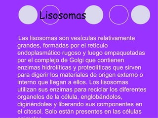 Lisosomas
 