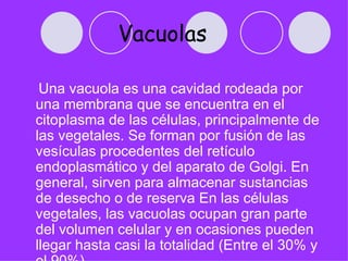 Vacuolas
 