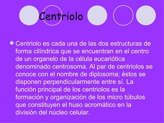Centriolos
 