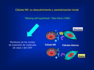 Celulas Nk | PDF