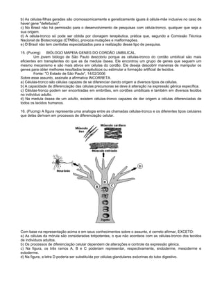 b) As células-filhas geradas são cromossomicamente e geneticamente iguais à célula-mãe inclusive no caso de
haver gene "defeituoso".
c) No Brasil não há permissão para o desenvolvimento de pesquisas com célula-tronco, qualquer que seja a
sua origem.
d) A célula-tronco só pode ser obtida por clonagem terapêutica, prática que, segundo a Comissão Técnica
Nacional de Biotecnologia (CTNBio), provoca mutações e malformações.
e) O Brasil não tem cientistas especializados para a realização desse tipo de pesquisa.

15. (Pucmg)      BIÓLOGO MAPEIA GENES DO CORDÃO UMBILICAL.
         Um jovem biólogo de São Paulo descobriu porque as células-tronco do cordão umbilical são mais
eficientes em transplantes do que as da medula óssea. Ele encontrou um grupo de genes que seguem um
mesmo mecanismo e são mais ativos em células do cordão. Ele deseja descobrir maneiras de manipular os
genes para obter melhores resultados terapêuticos ou estimular a formação artificial de tecidos.
         Fonte: "O Estado de São Paulo", 14/02/2006
Sobre esse assunto, assinale a afirmativa INCORRETA.
a) Células-tronco são células capazes de se diferenciar dando origem a diversos tipos de células.
b) A capacidade de diferenciação das células precursoras se deve à alteração na expressão gênica específica.
c) Células-tronco podem ser encontradas em embriões, em cordões umbilicais e também em diversos tecidos
no indivíduo adulto.
d) Na medula óssea de um adulto, existem células-tronco capazes de dar origem a células diferenciadas de
todos os tecidos humanos.

16. (Pucmg) A figura representa uma analogia entre as chamadas células-tronco e os diferentes tipos celulares
que delas derivam em processos de diferenciação celular.




Com base na representação acima e em seus conhecimentos sobre o assunto, é correto afirmar, EXCETO:
a) As células da mórula são consideradas totipotentes, o que não acontece com as células-tronco dos tecidos
de indivíduos adultos.
b) Os processos de diferenciação celular dependem de alterações e controle da expressão gênica.
c) Na figura, os três ramos A, B e C poderiam representar, respectivamente, endoderme, mesoderme e
ectoderme.
d) Na figura, a letra D poderia ser substituída por células glandulares exócrinas do tubo digestivo.
 