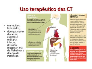 Uso terapêutico das CTUso terapêutico das CT
• em tecidos
lesionados;
• doenças como
diabetes,
esclerose
múltipla,
infarto,
distrofia
muscular, mal
de Alzheimer e
doença de
Parkinson.
 