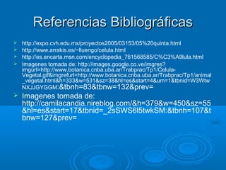 Referencias Bibliográficas
 http://expo.cvh.edu.mx/proyectos2005/03153/05%20quinta.html
 http://www.arrakis.es/~lluengo/celula.html
 http://es.encarta.msn.com/encyclopedia_761568585/C%C3%A9lula.html
 Imagenes tomada de: http://images.google.co.ve/imgres?
  imgurl=http://www.botanica.cnba.uba.ar/Trabprac/Tp1/Celula-
  Vegetal.gif&imgrefurl=http://www.botanica.cnba.uba.ar/Trabprac/Tp1/animal
  _vegetal.html&h=333&w=531&sz=38&hl=es&start=4&um=1&tbnid=W3Wtw
  NXJJGYGGM:&tbnh=83&tbnw=132&prev=
   Imagenes tomada de:
    http://camilacandia.nireblog.com/&h=379&w=450&sz=55
    &hl=es&start=17&tbnid=_2sSWS6l5twkSM:&tbnh=107&t
    bnw=127&prev=
 