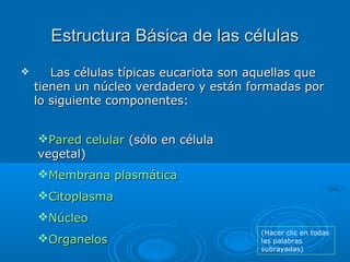 Estructura Básica de las células
      Las células típicas eucariota son aquellas que
    tienen un núcleo verdadero y están formadas por
    lo siguiente componentes:


    Pared celular (sólo en célula
    vegetal)
    Membrana plasmática
    Citoplasma
    Núcleo
                                          (Hacer clic en todas
    Organelos                            las palabras
                                          subrayadas)
 