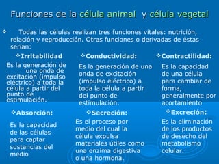 Funciones de la célula animal y célula vegetal
      Todas las células realizan tres funciones vitales: nutrición,
    relación y reproducción. Otras funciones o derivadas de éstas
    serían:
      Irritabilidad       Conductividad:            Contractilidad:
Es la generación de       Es la generación de una    Es la capacidad
       una onda de        onda de excitación         de una célula
excitación (impulso
eléctrico) a toda la      (impulso eléctrico) a      para cambiar de
célula a partir del       toda la célula a partir    forma,
punto de                  del punto de               generalmente por
estimulación.             estimulación.              acortamiento
    Absorción:             Secreción:               Excreción:
                         Es el proceso por           Es la eliminación
    Es la capacidad
                         medio del cual la           de los productos
    de las células
                         célula expulsa              de desecho del
    para captar
                         materiales útiles como      metabolismo
    sustancias del
                         una enzima digestiva        celular.
    medio
                         o una hormona.
 