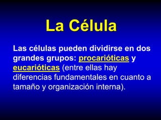 La Célula
Las células pueden dividirse en dos
grandes grupos: procarióticas y
eucarióticas (entre ellas hay
diferencias fu...