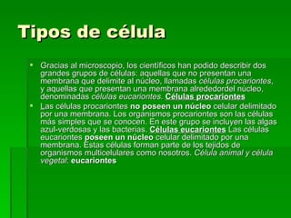 Tipos de célula   Gracias al microscopio, los científicos han podido describir dos grandes grupos de células: aquellas que no presentan una membrana que delimite al núcleo, llamadas  células procariontes , y aquellas que presentan una membrana alrededordel núcleo, denominadas  células eucariontes.   Células procariontes   L as células procariontes  no poseen un núcleo  celular delimitado por una membrana. Los organismos procariontes son las células más simples que se conocen. En este grupo se incluyen las algas azul-verdosas y las bacterias.  Células eucariontes   Las células eucariontes  poseen un núcleo  celular delimitado por una membrana. Estas células forman parte de los tejidos de organismos multicelulares como nosotros.  Célula animal y célula vegetal :  eucariontes 