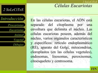 Células Eucariotas En las células eucariotas, el ADN está separado del citoplasma por una envoltura que delimita el núcleo. Las células eucariotas poseen, además del núcleo, varios orgánulos característicos y específicos: retículo endoplasmático (RE), aparato del Golgi, mitocondrias, cloroplastos (en las células vegetales), endosomas, lisosomas, peroxisomas, citoesqueleto y centrosoma.  FIN 