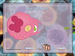 Fuente: Regueiro y otros (2009)
 