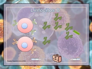 Fuente: Regueiro y otros (2009)
 