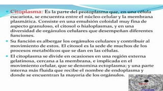 las celulas  procarioticas y su importancia