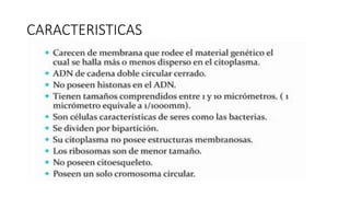 CARACTERISTICAS
 