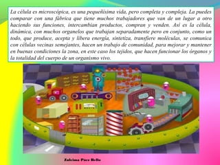 La célula es microscópica, es una pequeñísima vida, pero completa y compleja. La puedes
comparar con una fábrica que tiene muchos trabajadores que van de un lugar a otro
haciendo sus funciones, intercambian productos, compran y venden. Así es la célula,
dinámica, con muchos organelos que trabajan separadamente pero en conjunto, como un
todo, que produce, acepta y libera energía, sintetiza, transfiere moléculas, se comunica
con células vecinas semejantes, hacen un trabajo de comunidad, para mejorar y mantener
en buenas condiciones la zona, en este caso los tejidos, que hacen funcionar los órganos y
la totalidad del cuerpo de un organismo vivo.
Zuleima Páez Bello
 