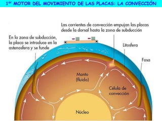 1er MOTOR DEL MOVIMIENTO DE LAS PLACAS: LA CONVECCIÓN
 