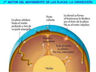 1er MOTOR DEL MOVIMIENTO DE LAS PLACAS: LA CONVECCIÓN
 