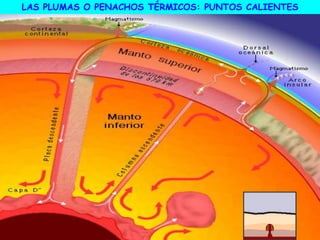LAS PLUMAS O PENACHOS TÉRMICOS: PUNTOS CALIENTES
 