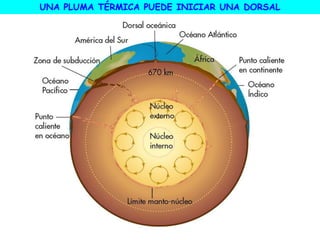 UNA PLUMA TÉRMICA PUEDE INICIAR UNA DORSAL
 