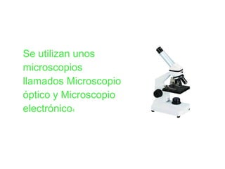 Se utilizan unos
microscopios
llamados Microscopio
óptico y Microscopio
electrónico4
 