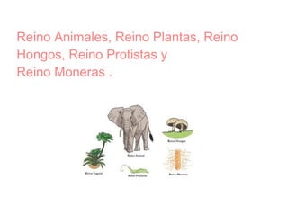 Reino Animales, Reino Plantas, Reino
Hongos, Reino Protistas y
Reino Moneras .
 