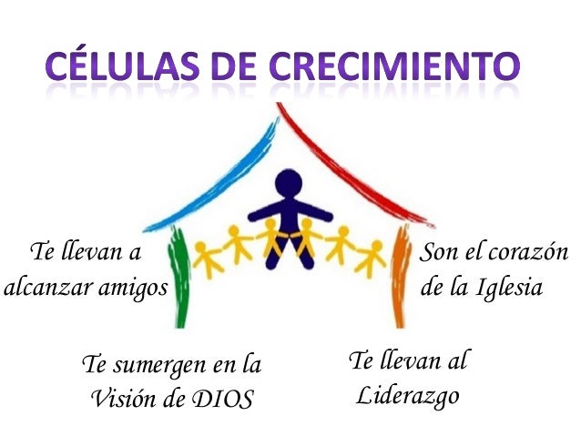 Células De Crecimiento En La Iglesia