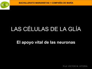 BACHILLERATO MARIANISTAS + COMPAÑÍA DE MARÍA

LAS CÉLULAS DE LA GLÍA
El apoyo vital de las neuronas

Anatomía y Fisiología Humanas -

Prof. VÍCTOR M. VITORIA

 
