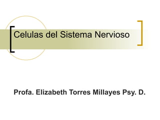Celulas del Sistema Nervioso Profa. Elizabeth Torres Millayes Psy. D.  