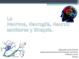 Eduardo León García
Anatomía funcional del sistema nervioso.
                           Febrero 2012.
                                  Uaem.
 