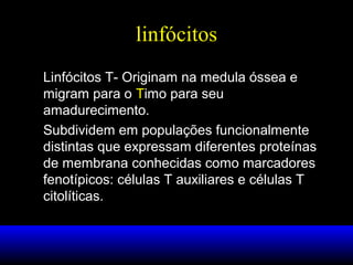 linfócitos
Linfócitos T- Originam na medula óssea e
migram para o Timo para seu
amadurecimento.
Subdividem em populações funcionalmente
distintas que expressam diferentes proteínas
de membrana conhecidas como marcadores
fenotípicos: células T auxiliares e células T
citolíticas.

 
