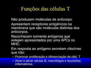 Funções das células T
Não produzem moléculas de anticorpo.
Apresentam receptores antigênicos na
membrana que são moléculas distintas dos
anticorpos.
Reconhecem somente antígenos que
estejam apresentados por uma APCs no
MHC.
Em resposta ao antígeno secretam citocinas
que irão:
– Promover proliferação e diferenciação de céls. T
– Atrair e ativar células B, macrófagos e leucócitos
inflamatórios.

 