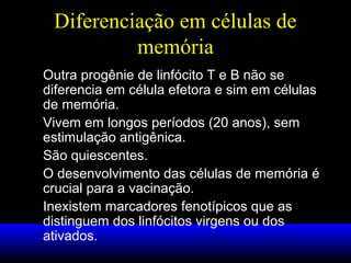 Diferenciação em células de
memória
Outra progênie de linfócito T e B não se
diferencia em célula efetora e sim em células
de memória.
Vivem em longos períodos (20 anos), sem
estimulação antigênica.
São quiescentes.
O desenvolvimento das células de memória é
crucial para a vacinação.
Inexistem marcadores fenotípicos que as
distinguem dos linfócitos virgens ou dos
ativados.

 