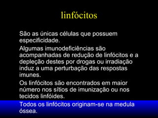 linfócitos
São as únicas células que possuem
especificidade.
Algumas imunodeficiências são
acompanhadas de redução de linfócitos e a
depleção destes por drogas ou irradiação
induz a uma perturbação das respostas
imunes.
Os linfócitos são encontrados em maior
número nos sítios de imunização ou nos
tecidos linfóides.
Todos os linfócitos originam-se na medula
óssea.
 
