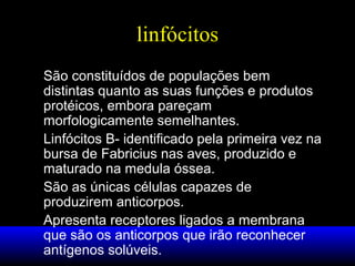 linfócitos
São constituídos de populações bem
distintas quanto as suas funções e produtos
protéicos, embora pareçam
morfologicamente semelhantes.
Linfócitos B- identificado pela primeira vez na
bursa de Fabricius nas aves, produzido e
maturado na medula óssea.
São as únicas células capazes de
produzirem anticorpos.
Apresenta receptores ligados a membrana
que são os anticorpos que irão reconhecer
antígenos solúveis.
 